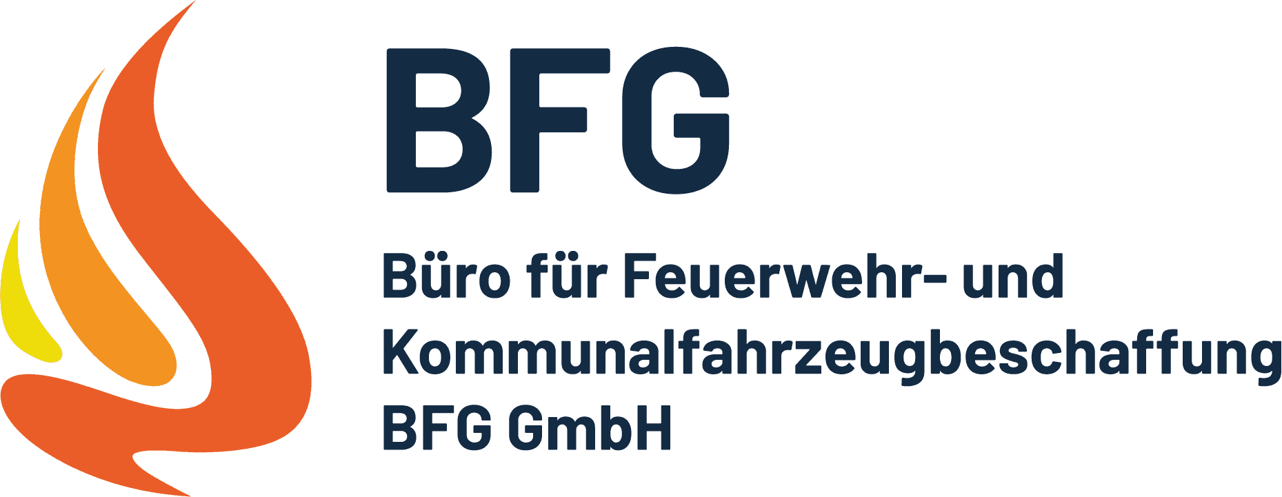 BFG Logo